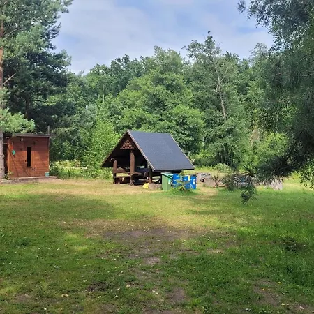 Wioslem W Hamaku Nad Wkra Rybitwy (Plonsk)