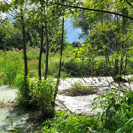 Semesterpark Wioslem W Hamaku Nad Wkra Rybitwy (Plonsk)