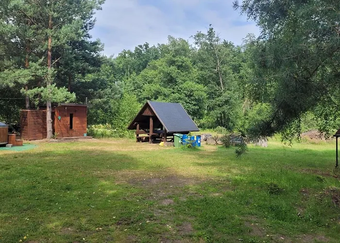 Wioslem W Hamaku Nad Wkra Rybitwy (Plonsk)